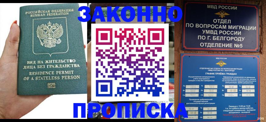 прописка для кредита в Фрязино